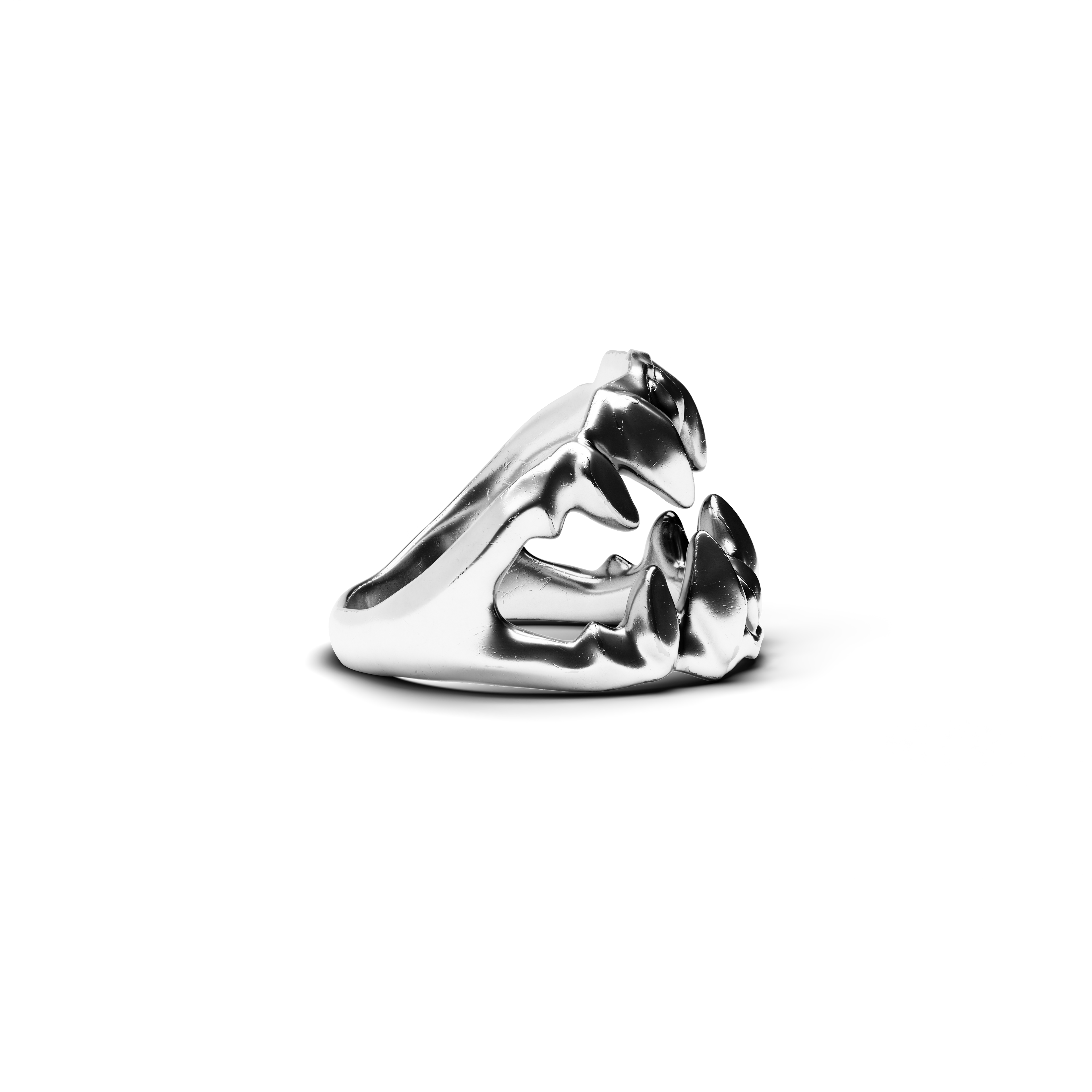 Jaw